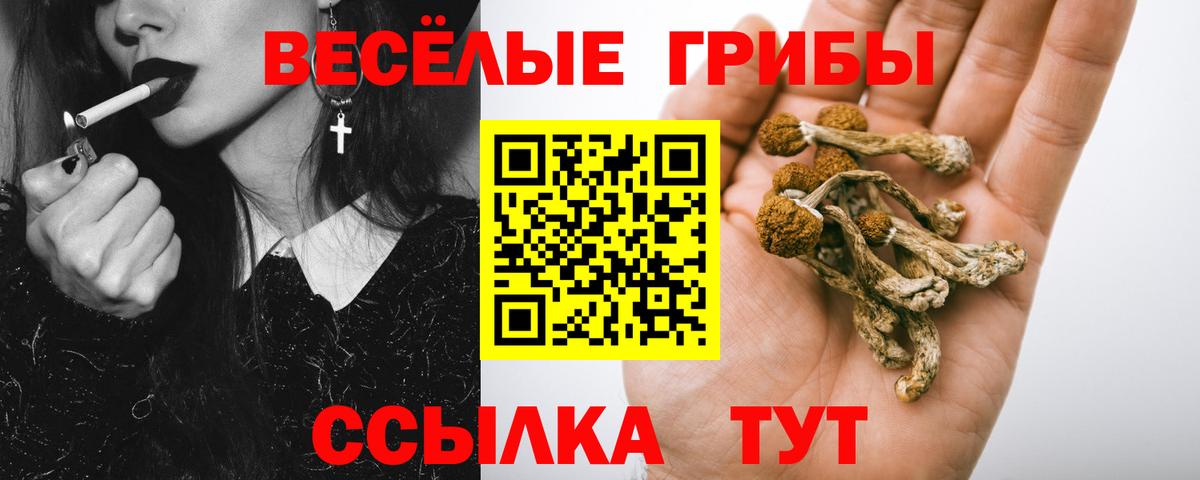 Псилоцибиновые грибы Magic Shrooms Аша