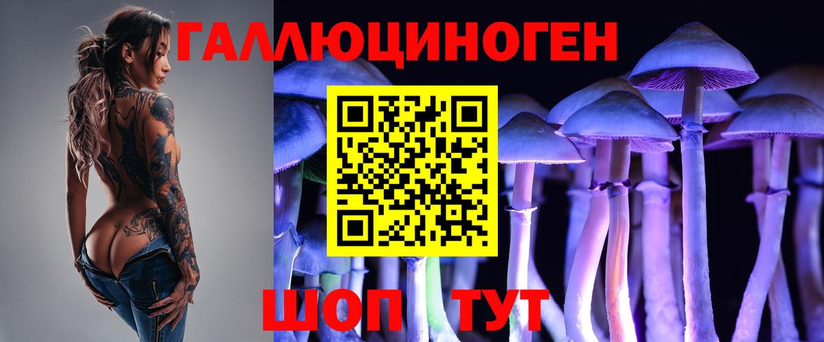 Аша  Галлюциногенные грибы Cubensis  Вход с VPN 
